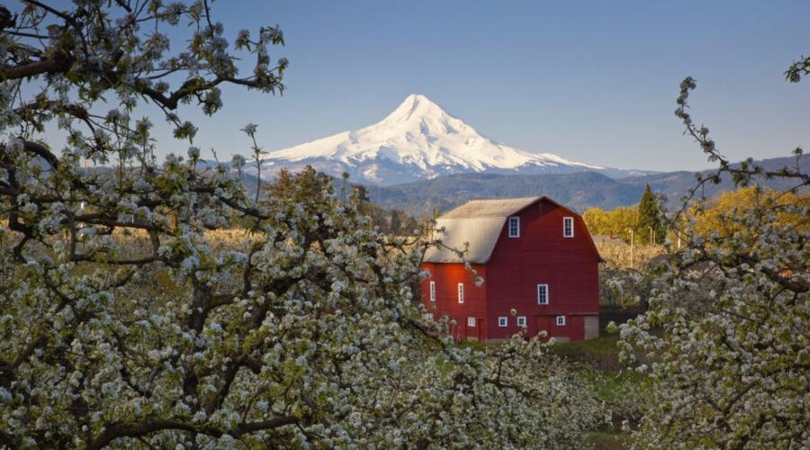 Ghost Orchards Hood River: Abandoned Apple Farms