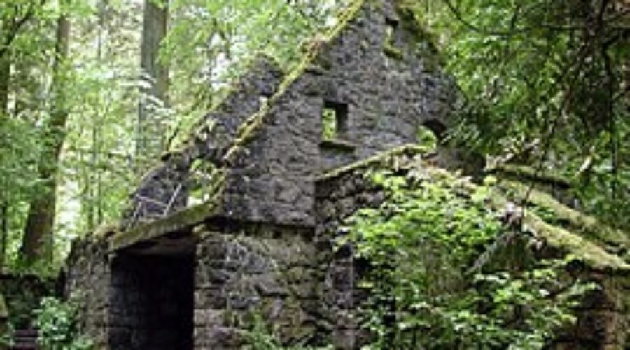 Witch’s Ruins Oregon Coast — Fogbound Legends & Night Tours