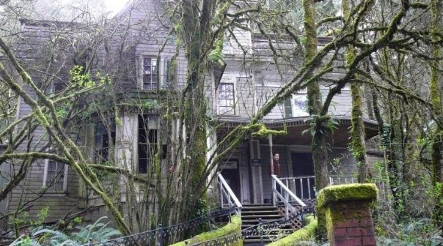 Haunted Forests Oregon: Myth, Mystery & Moonlit Walks Guide